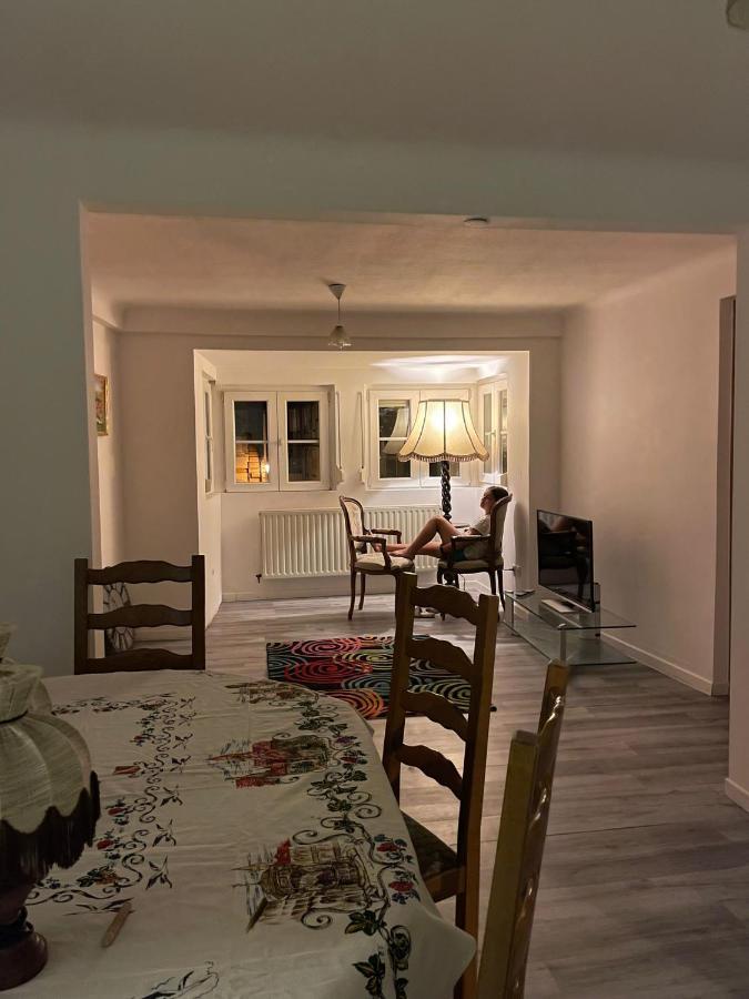 Au Bon Vieux Port Maison De Vacances Alsacienne A 10Mn De Ribeauville, Riquewihr Et Kaysersberg Sélestat Esterno foto