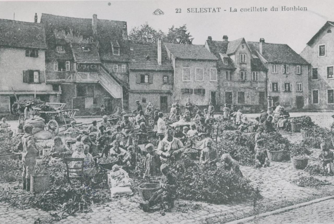 Au Bon Vieux Port Maison De Vacances Alsacienne A 10Mn De Ribeauville, Riquewihr Et Kaysersberg Sélestat Esterno foto