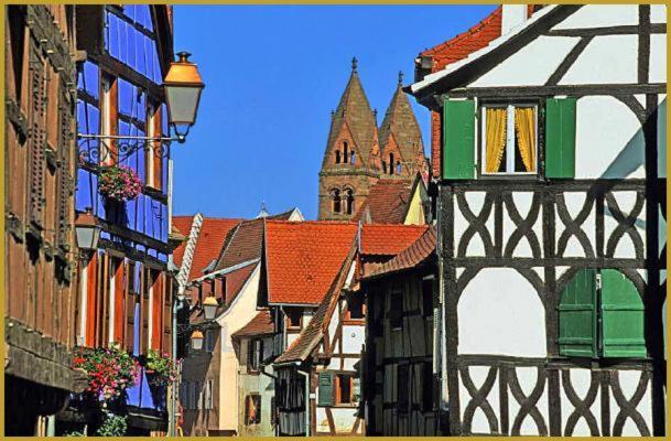 Au Bon Vieux Port Maison De Vacances Alsacienne A 10Mn De Ribeauville, Riquewihr Et Kaysersberg Sélestat Esterno foto