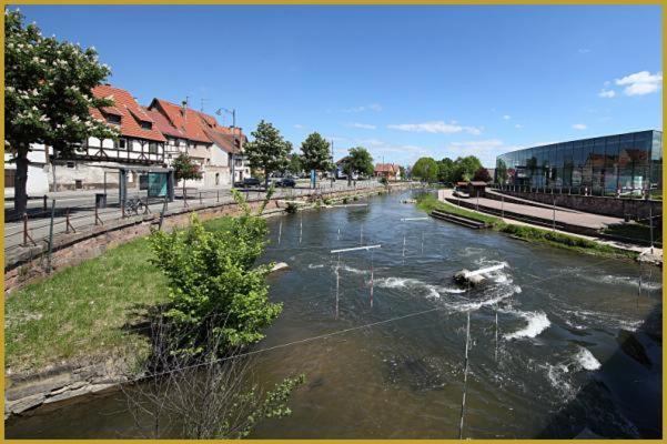Au Bon Vieux Port Maison De Vacances Alsacienne A 10Mn De Ribeauville, Riquewihr Et Kaysersberg Sélestat Esterno foto